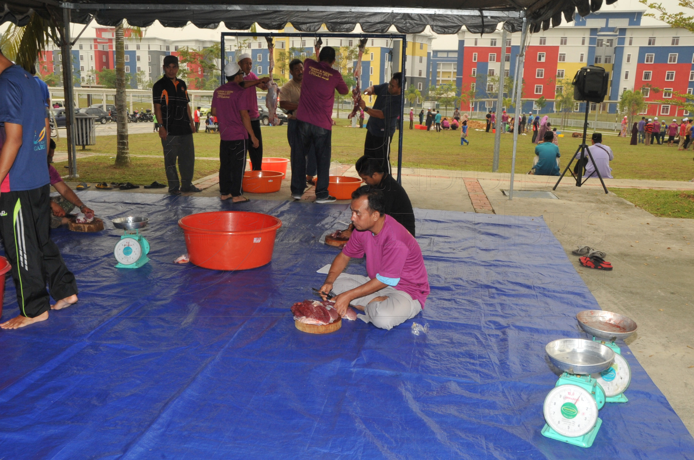 PRO15 150 KORBAN HAS 6895